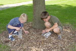 stone hunt